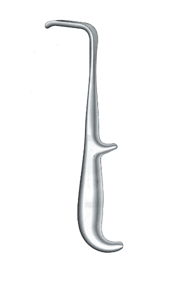 Young J-37-461